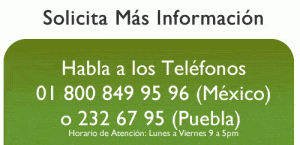 más información cursos emcebar