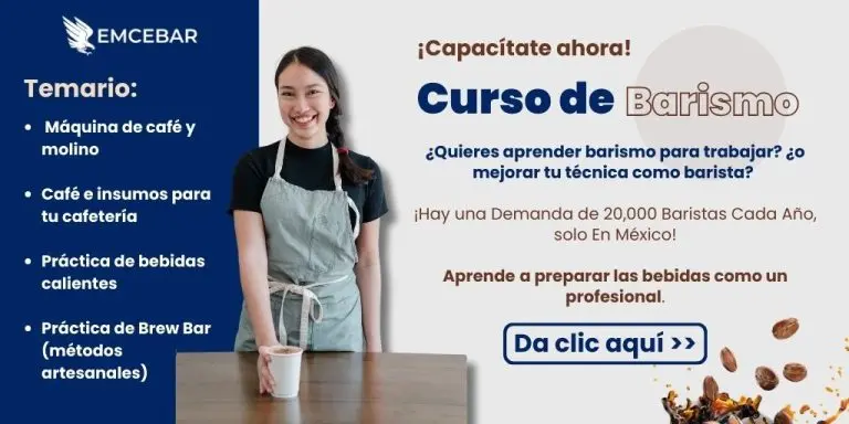 Curso barismo 
