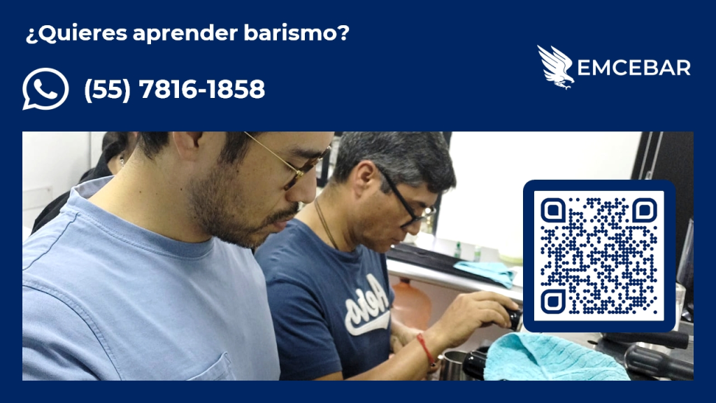 que-es-barismo-para-que-sirve-base-emcebar