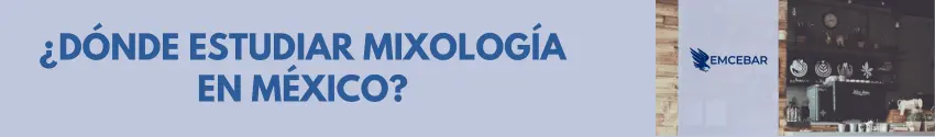 ¿Dónde estudiar mixología en México?