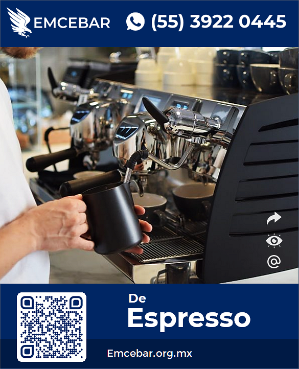 Ejemplo de Máquina Profesional de Espresso para Cursos - EMCEBAR
