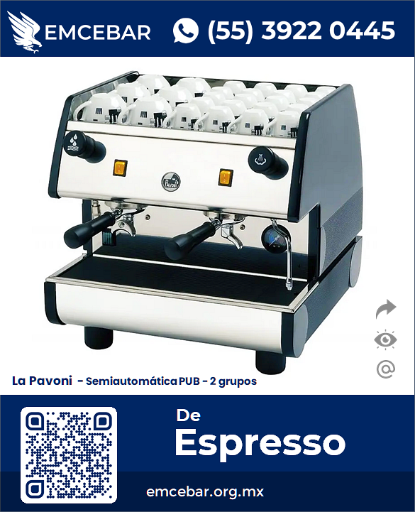 Ejemplo de Máquina Profesional de Espresso - La Pavoni - EMCEBAR