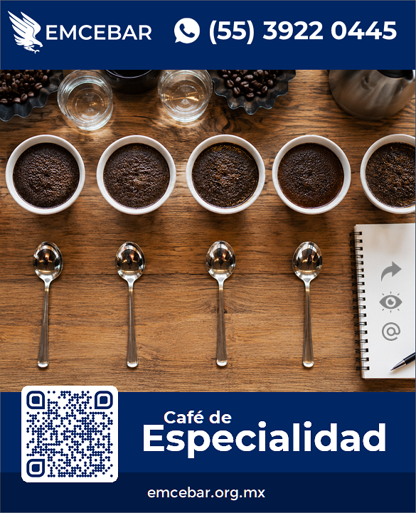 Ejemplo de Cata de Café con diferentes tipos de grano en curso especializado - EMCEBAR