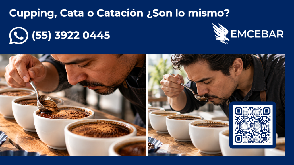 Imagen con ejemplos de cata de café, olfateo y slurping o sorbido, para cupping, cata o catación de café