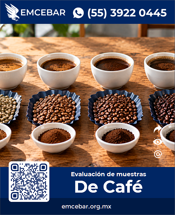 Mesa preparada para evaluación de muestras de café para cata o catación