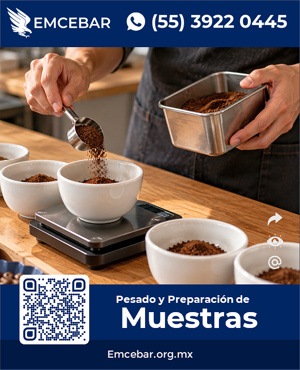 Ejemplo de proceso de pesado y preparación de muestras de café para cata