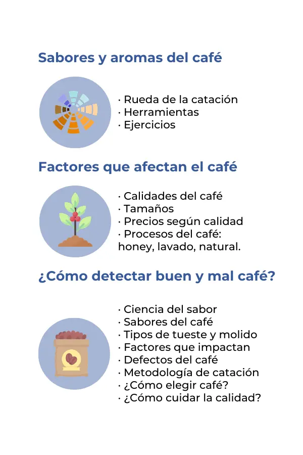 Taller de Catación