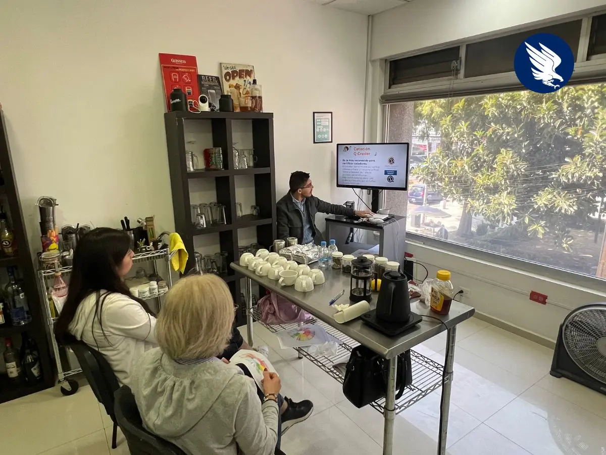 Emcebar puebla - cursos de cata cafe